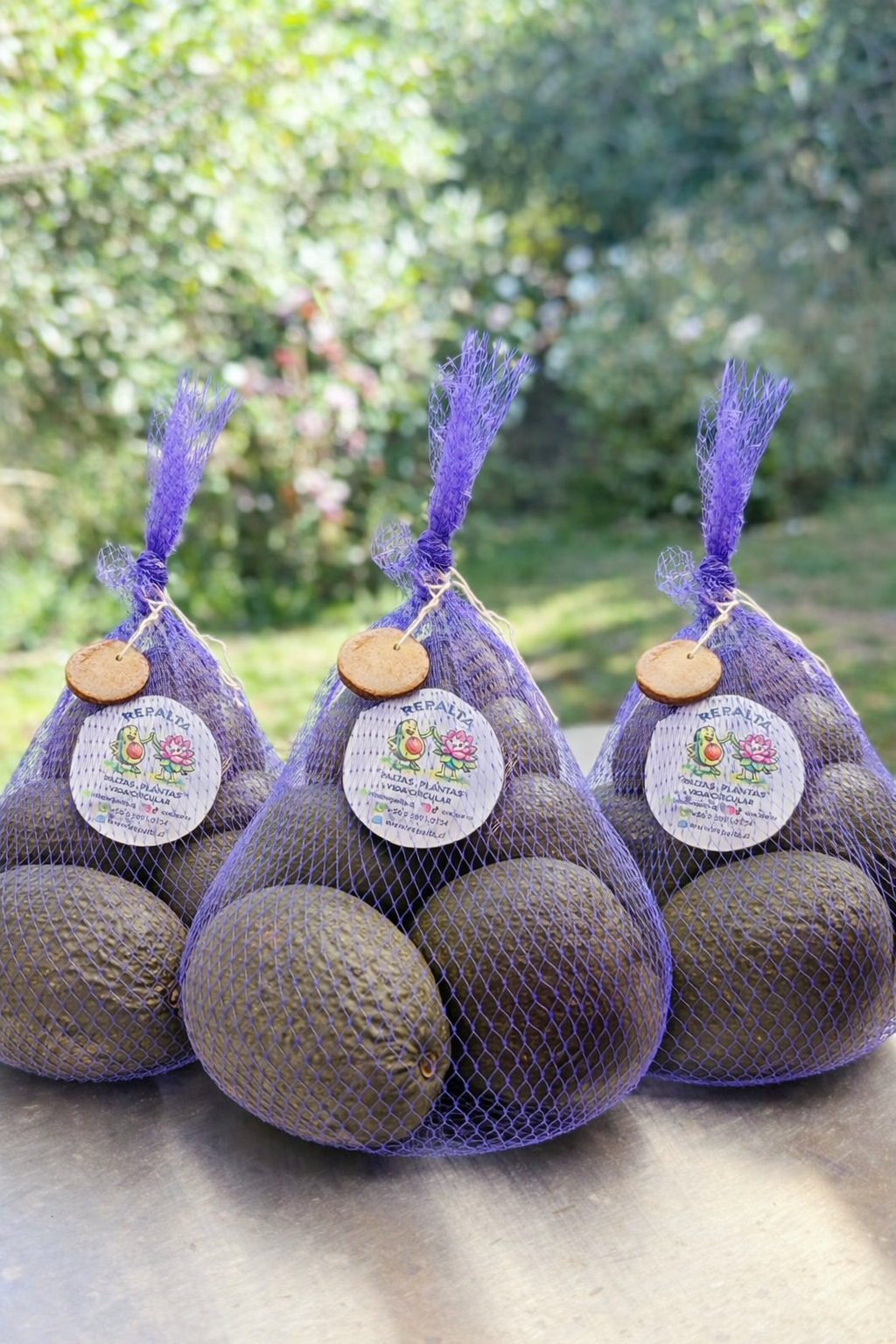 3 KG Palta Hass